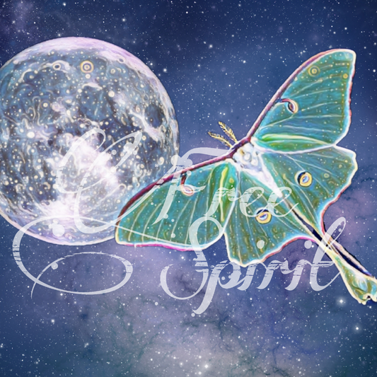 Celestial Luna Moth Minky Blanket