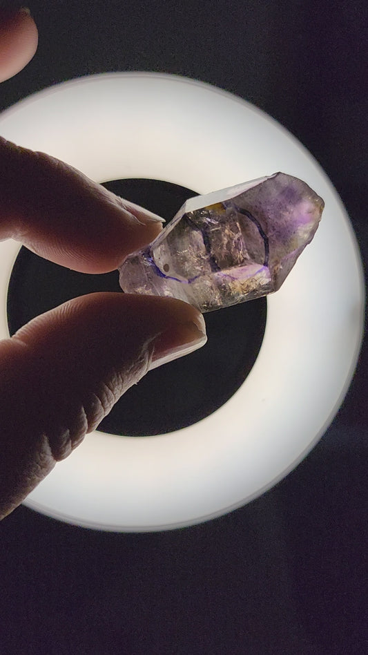 Smoky Amethyst Scepter Enhydro
